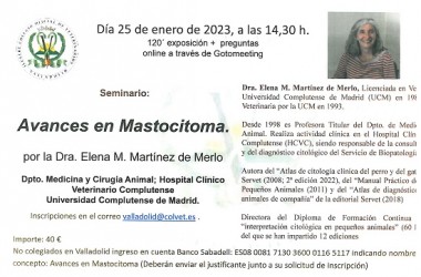 Seminario en línea AVANCES EN MASTOCITOMA