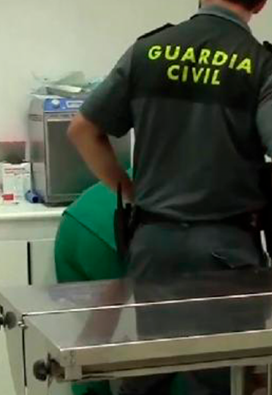 El Colegio de Valladolid colabora con la Guardia Civil en la investigación de un caso de intrusismo