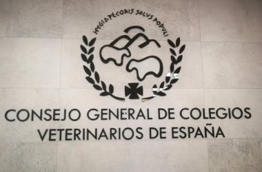 LA OCV PLANTEA UNA SERIE DE REIVINDICACIONES Y ADOPTARÁ LAS MEDIDAS A SU ALCANCE PARA SU CONSECUCIÓN, INCLUIDO EL APOYO A EVENTUALES MOVILIZACIONES