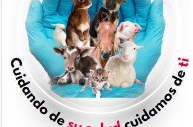 RAZONES 26 MARZO