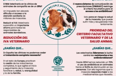 CONCENTRACION MIERCOLES 26 MARZO