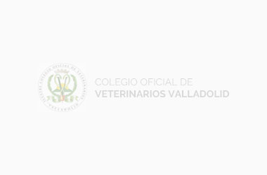 REINO UNIDO – Veterinarios con y sin experiencia